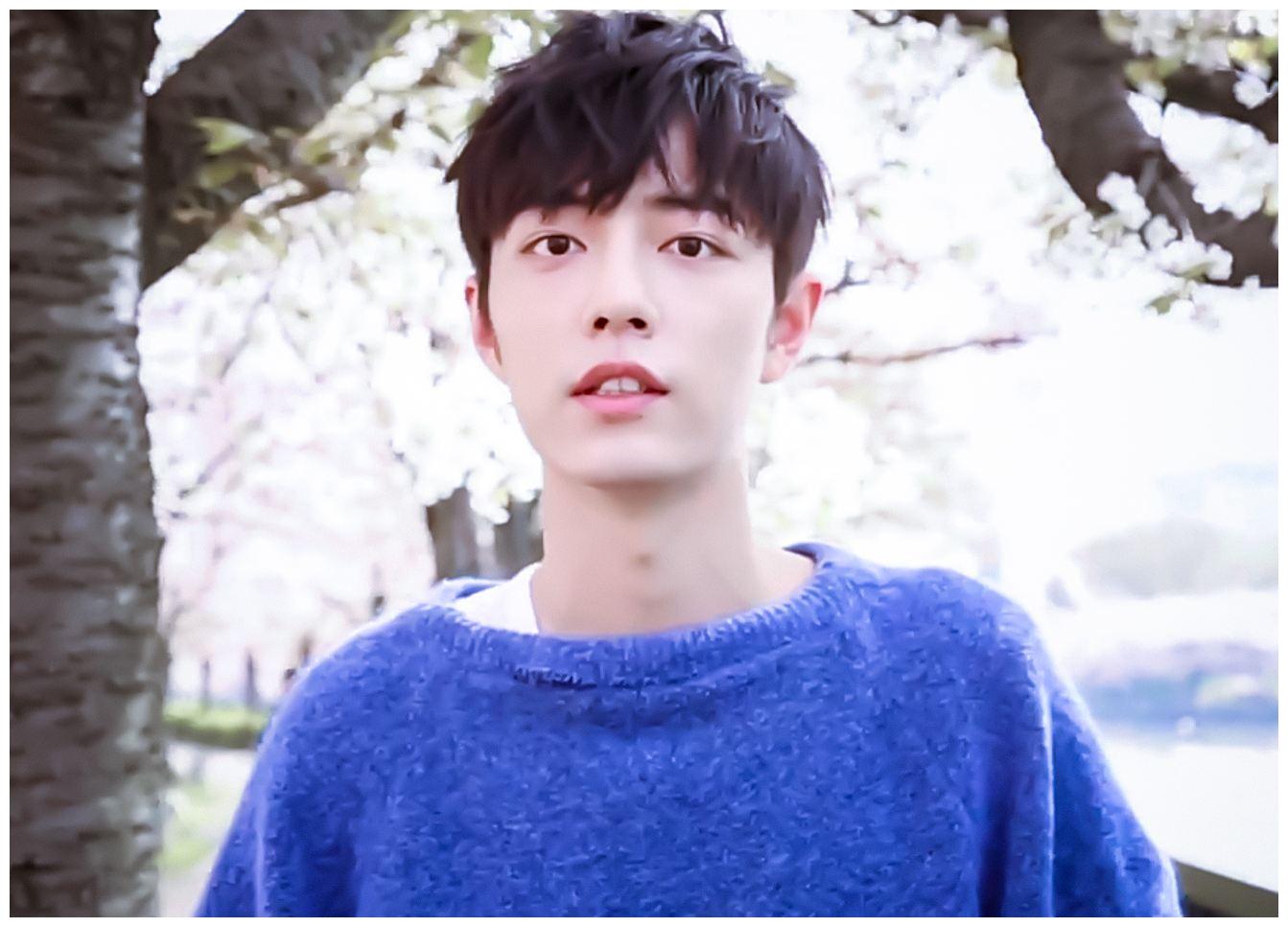 肖战有后台吗?陈赫生二胎了吗?宋茜转型成功了?彭昱畅资源?