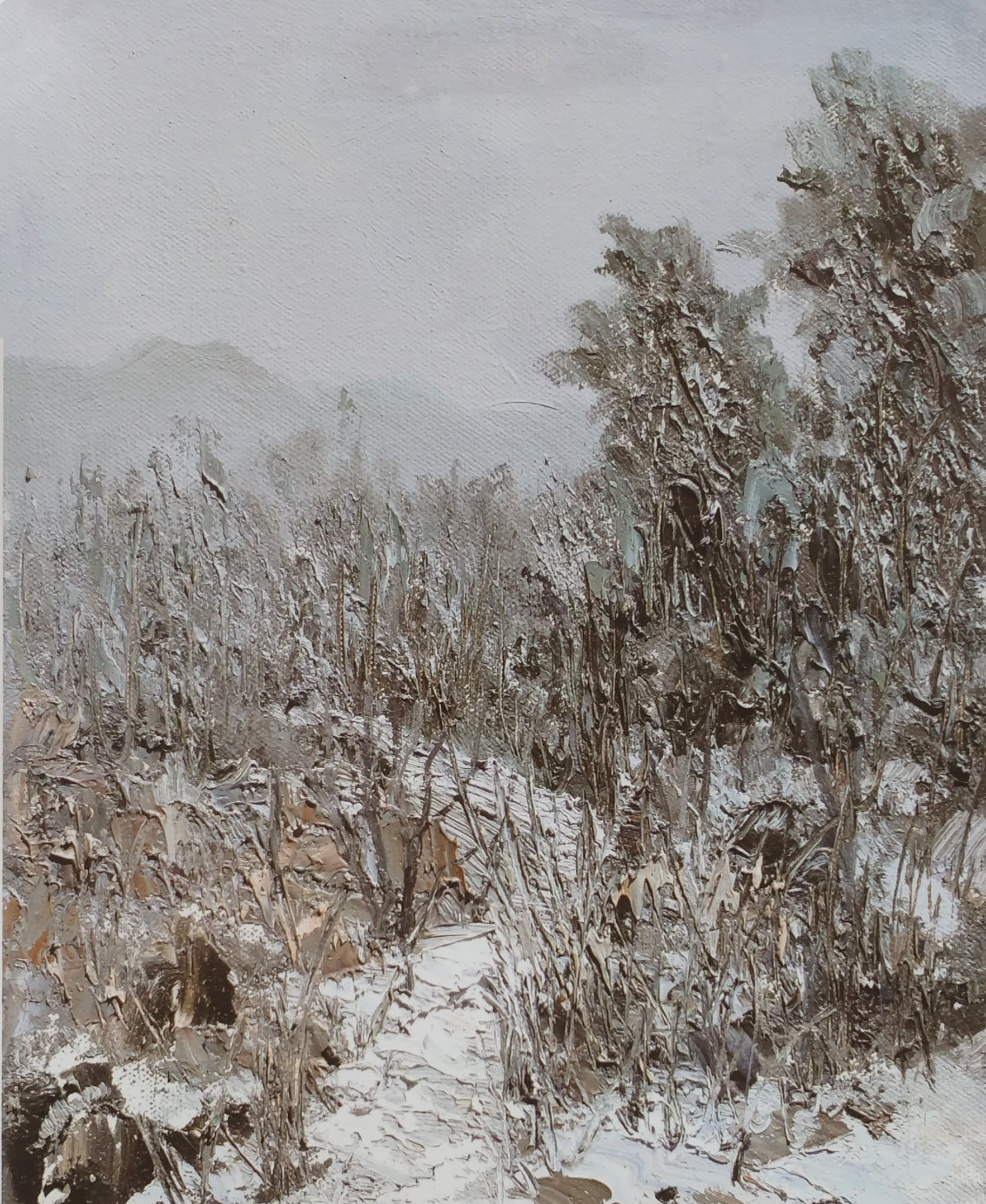 山水同怀,万象有蕴|李春华油画鉴赏(一)