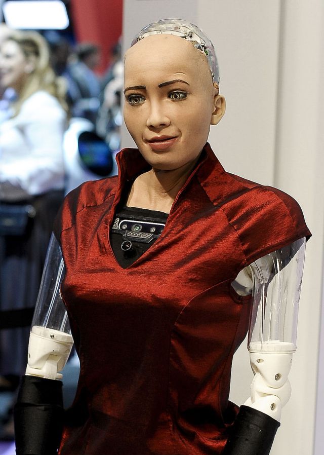 类人机器人妻子图片