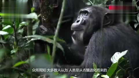 人类首次听到火星上的风声!NASA公布洞察号