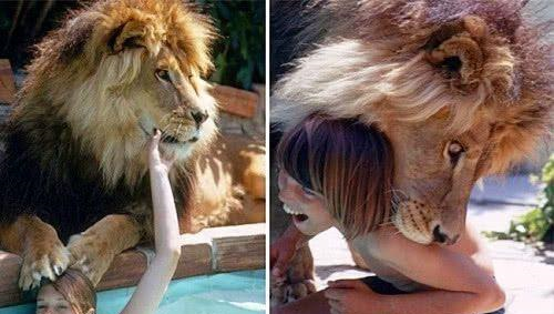 美女将狮子当宠物养,水池边嬉戏,下一秒就悲剧了!