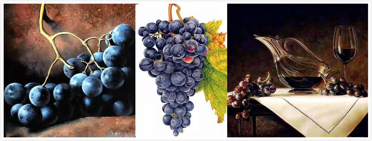 两老外画葡萄挑战冷军,她刘海长短有致,带着些微的弧度,瓜子脸