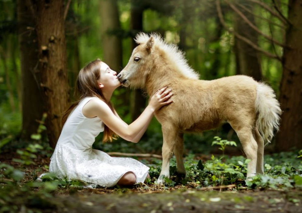 我的迷你马,太可爱了!摄影师捕捉到微小疗法马匹安慰幼儿的瞬间