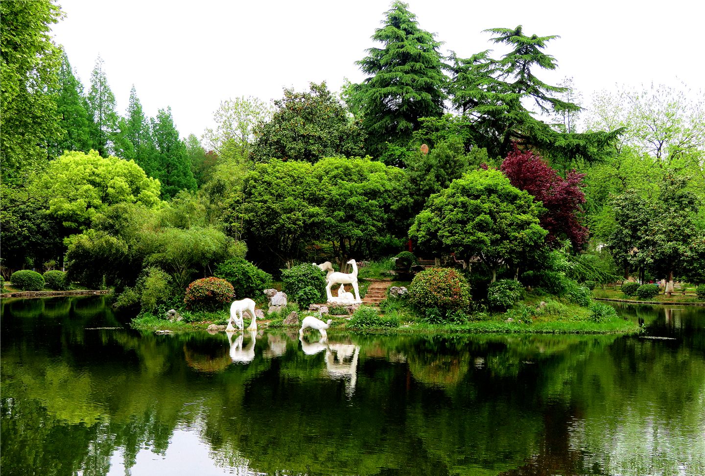 南京浦口公园里的绿色美景