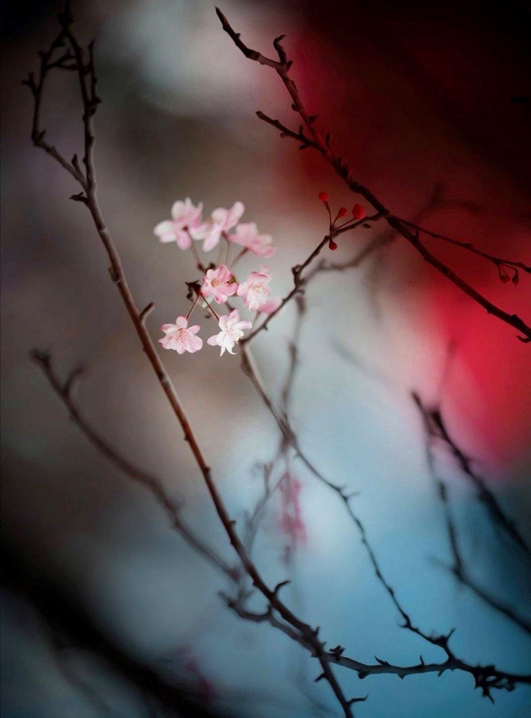 唯美古风春幡春胜一阵春风吹酒醒