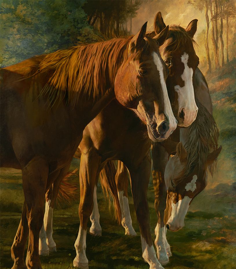 美国女画家julie.bell(朱莉贝尔)野生动物油画作品赏析