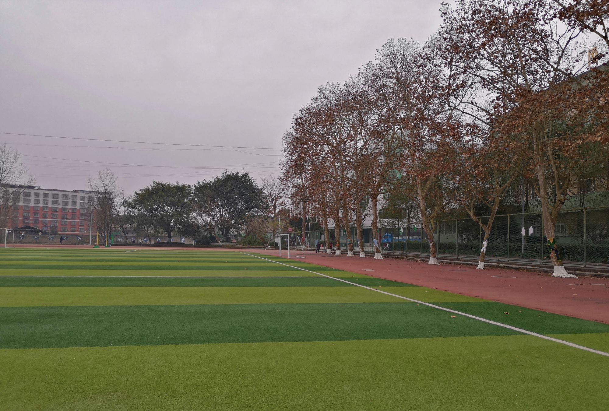 建校80周年的岳池一中,风采依旧,再续华章