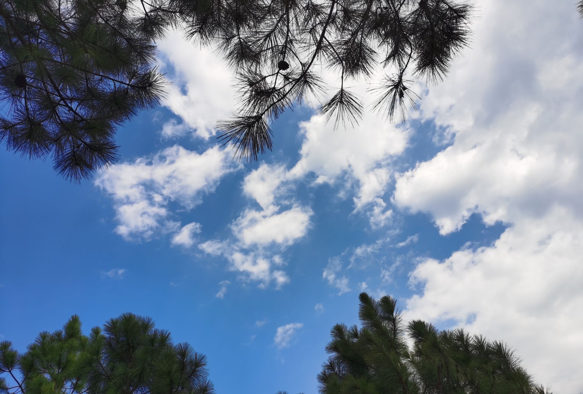 农村无污染的天空,纯净的蓝