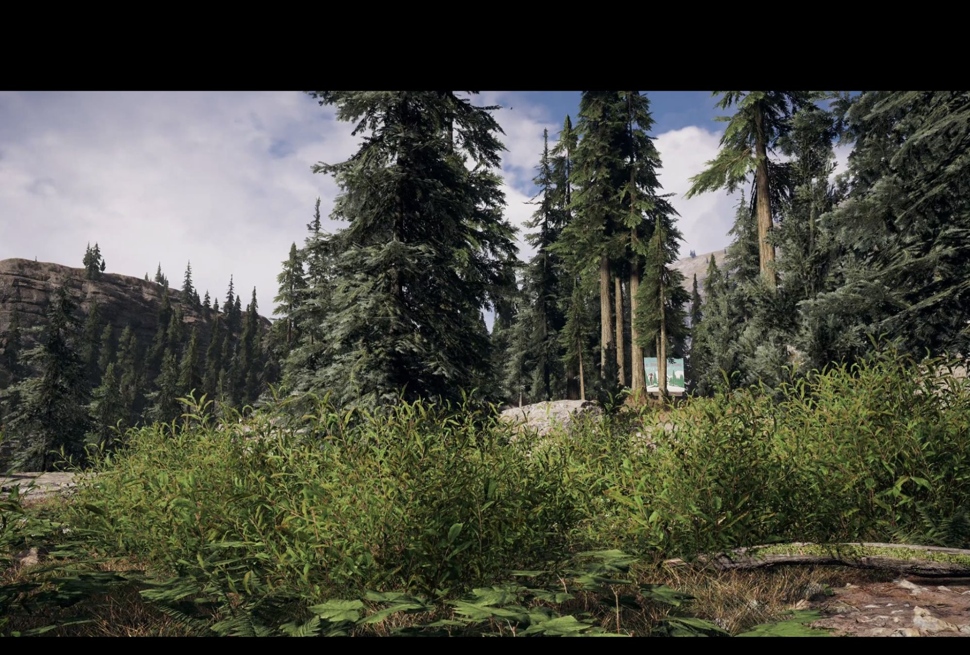 游戏里的风景4k分辨率下的孤岛惊魂5带你畅游蒙大拿州