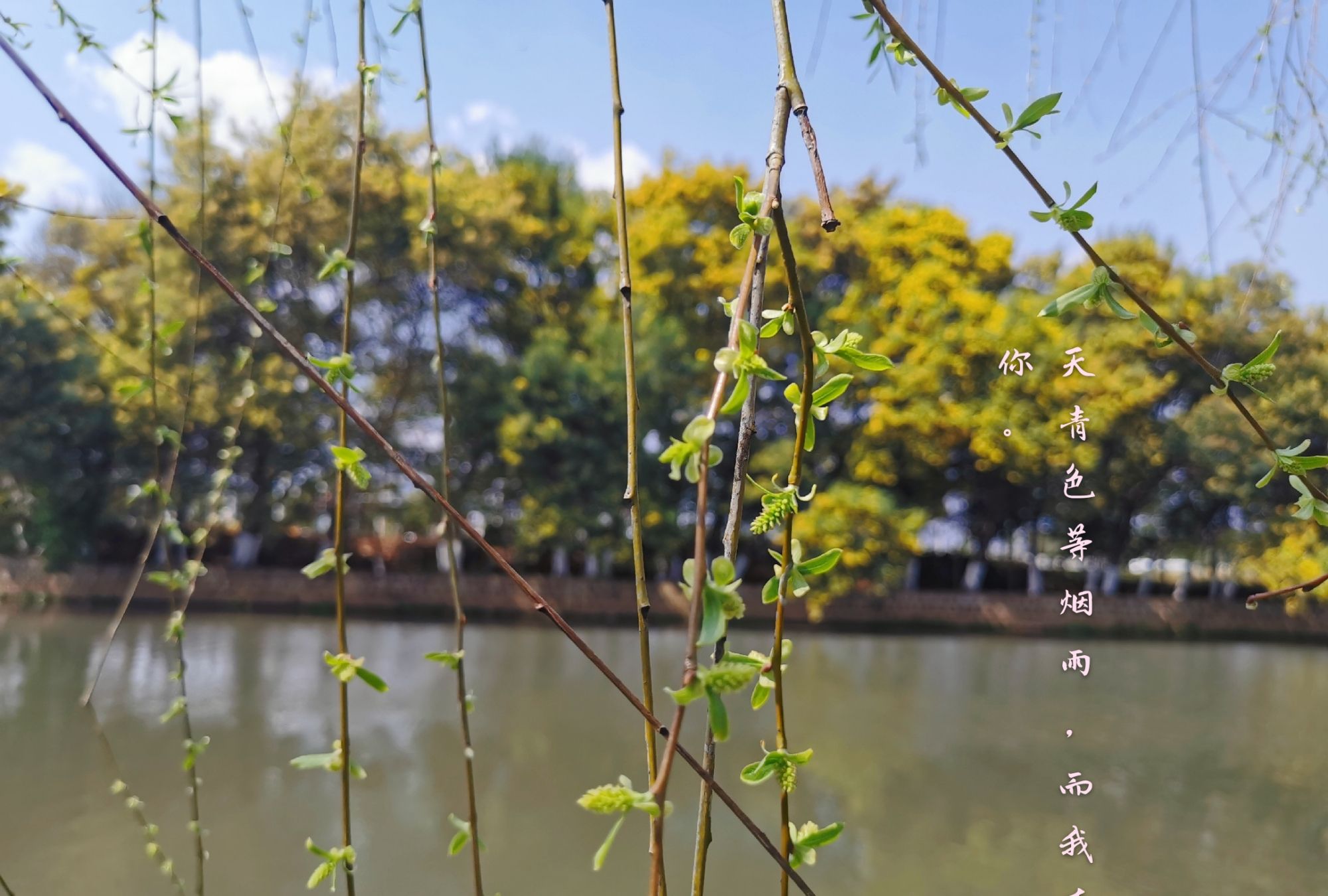 愿你如春,和风细雨_高清图集_新浪网