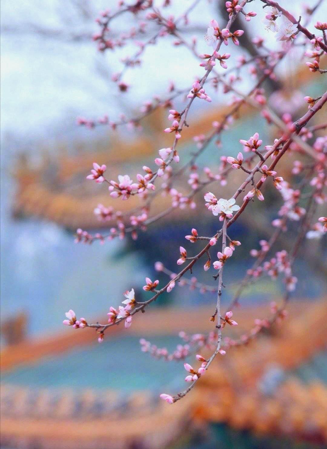 唯美古风春幡春胜一阵春风吹酒醒