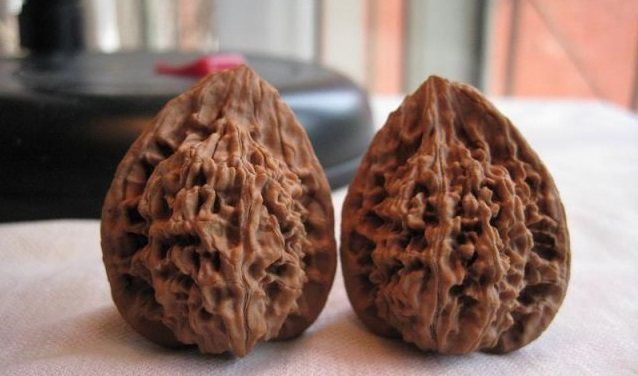 官帽文玩核桃品种鉴赏大全