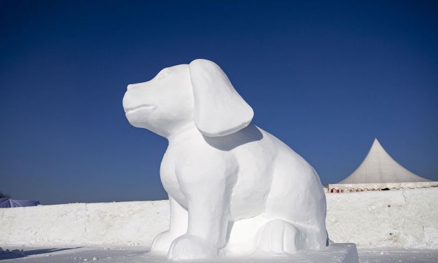 12生肖雪雕落户长春净月雪世界猪猪造型最可爱