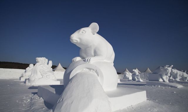 12生肖雪雕落户长春净月雪世界猪猪造型最可爱