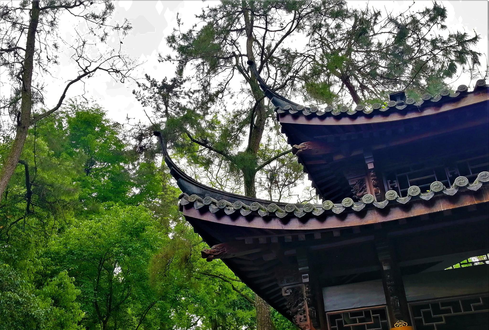 “暮鼓晨钟惊醒世间名利客，经声佛号唤回苦海梦迷人”杭州灵隐寺|灵隐寺|杭州|佛号_新浪新闻