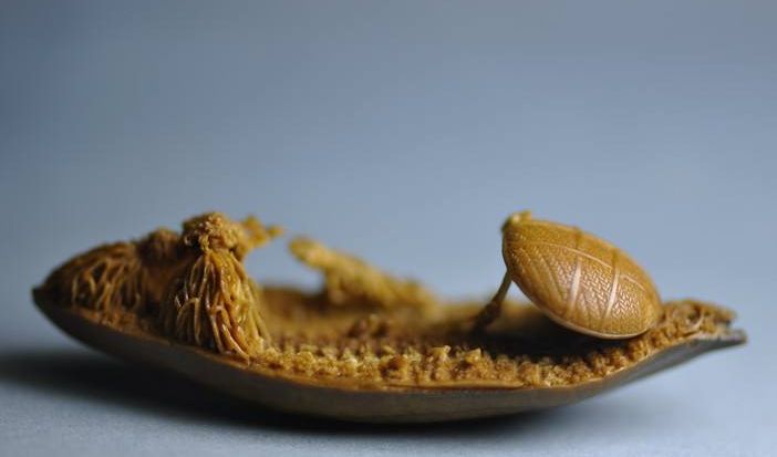 中国微雕历史源远流长,远在殷商时期的甲骨文中,就出现微型雕刻_高清