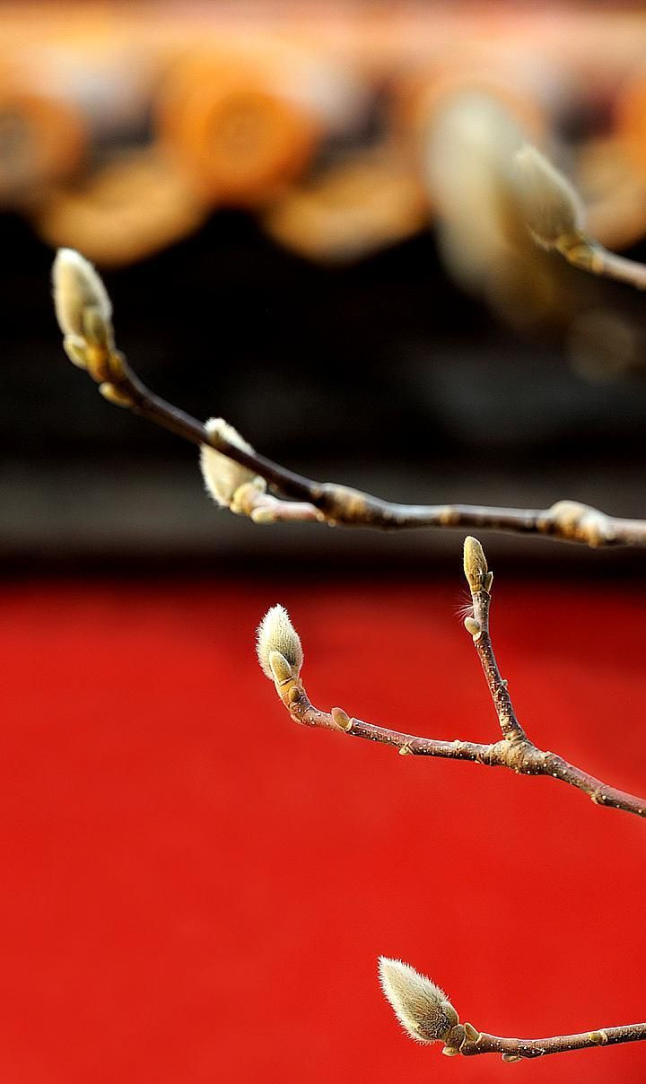 唯美古风春幡春胜一阵春风吹酒醒