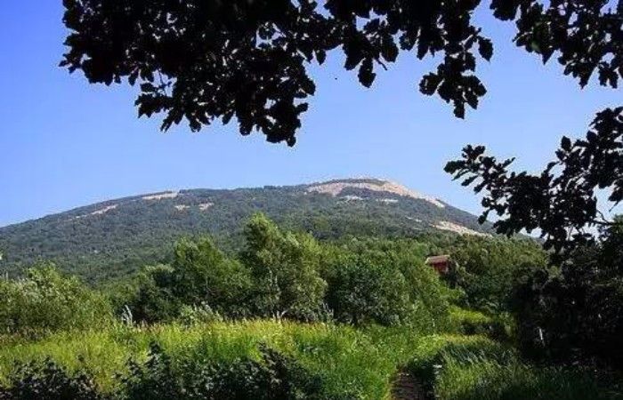 海兴县有哪些独特的人文旅游资源 海兴县有哪些风景名胜值得去