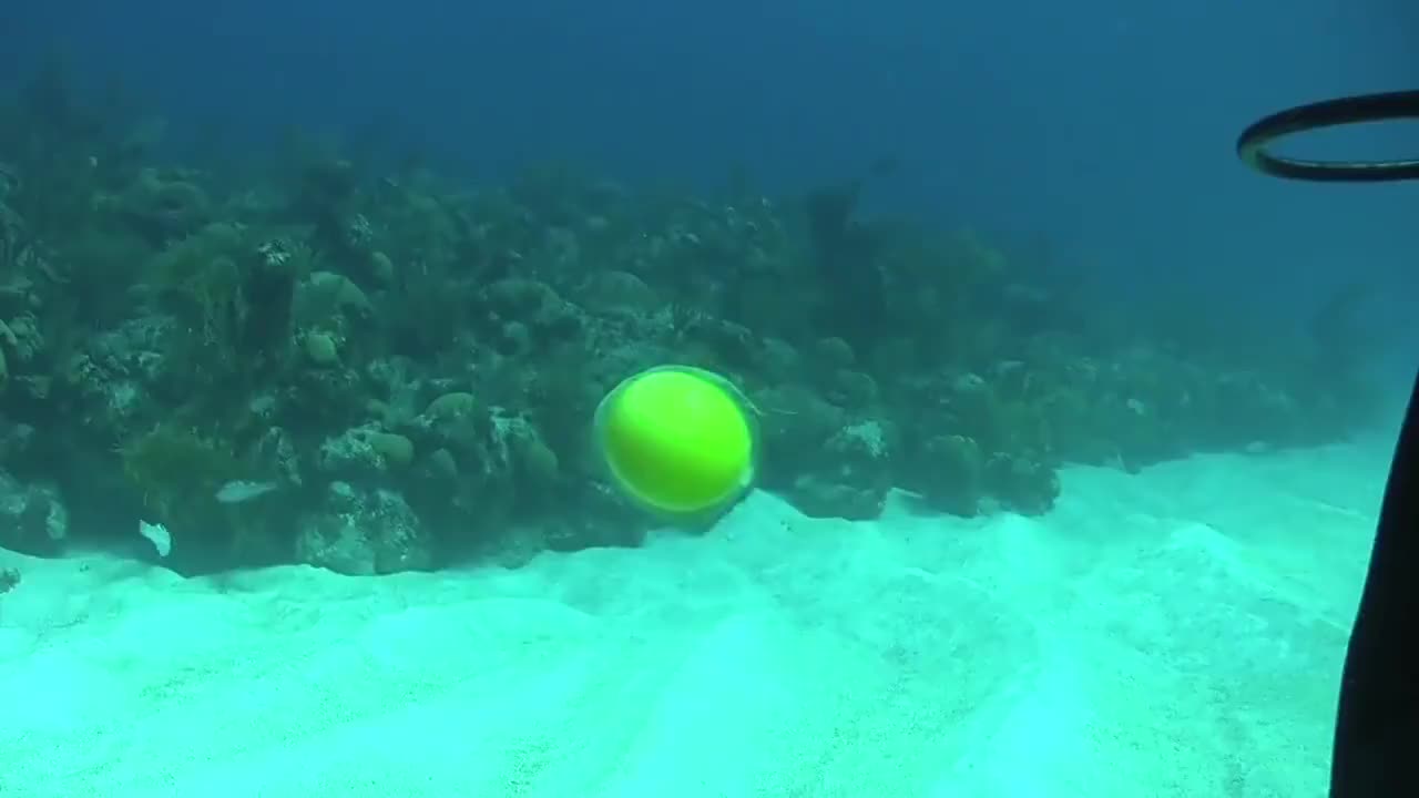 一斤鸡蛋有几个?90个!对你没看错