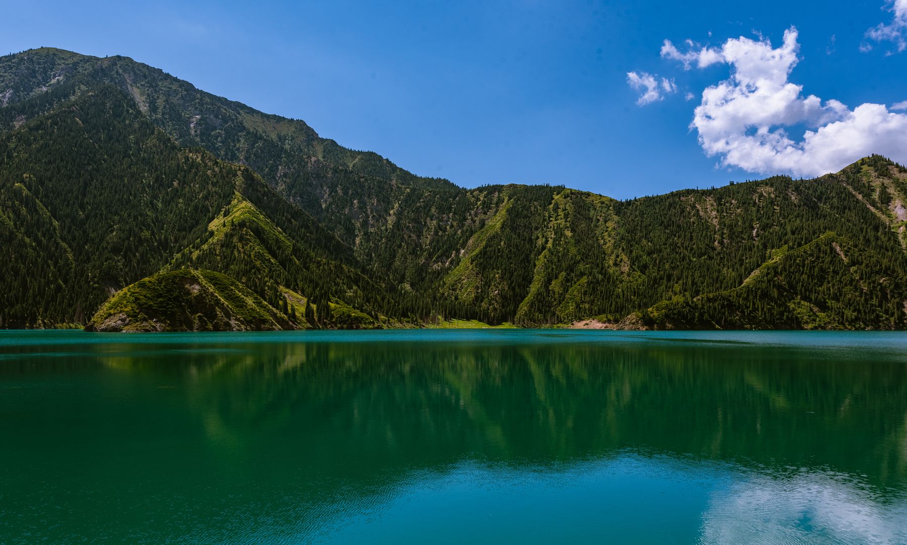 风光摄影:独库公路边的大龙池_高清图集_新浪网