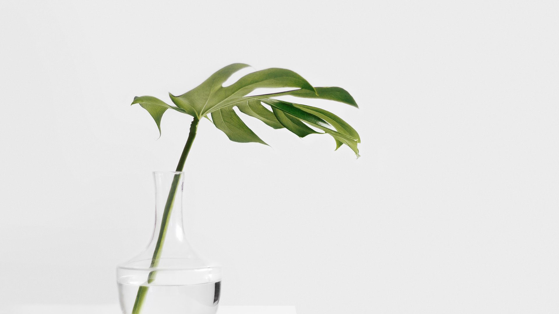 小清新创意静物摆件唯美高清桌面壁纸欣赏