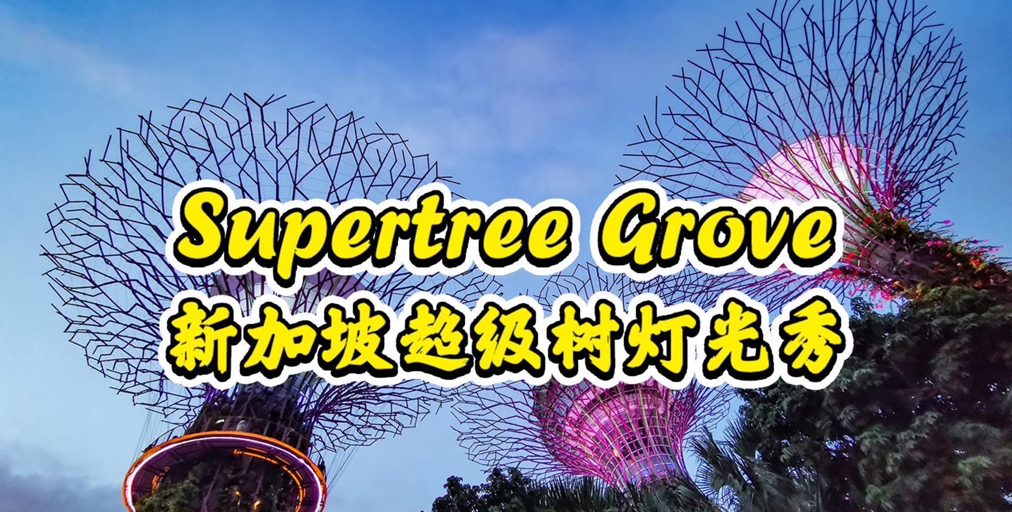 新加坡必打卡,滨海湾花园绝美的超级树