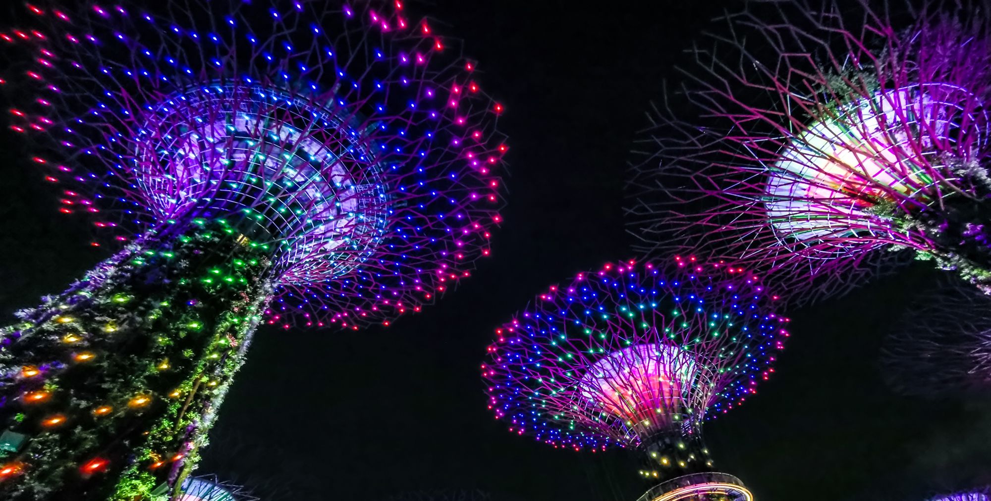 新加坡必打卡,滨海湾花园绝美的超级树