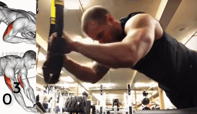 4、窄距三头下压