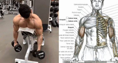 7、半程器械弯举