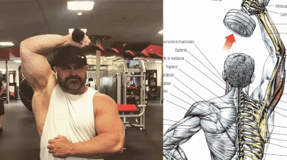 2、绳索臂屈伸超级组