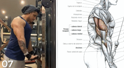 5、窄距绳索弯举