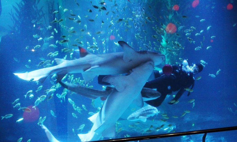 五一小长假,来这些地方,小孩子会看到眼睛都忘了眨|博物馆|青岛|小