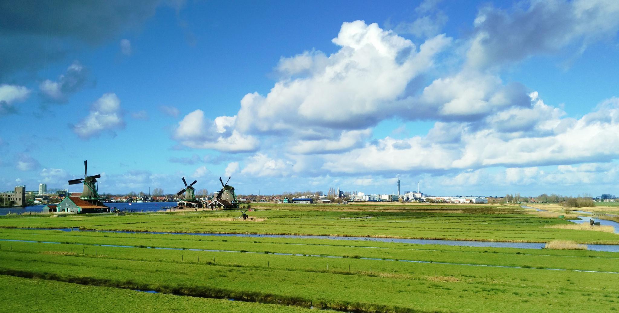 荷兰风车村:风车转过年轮