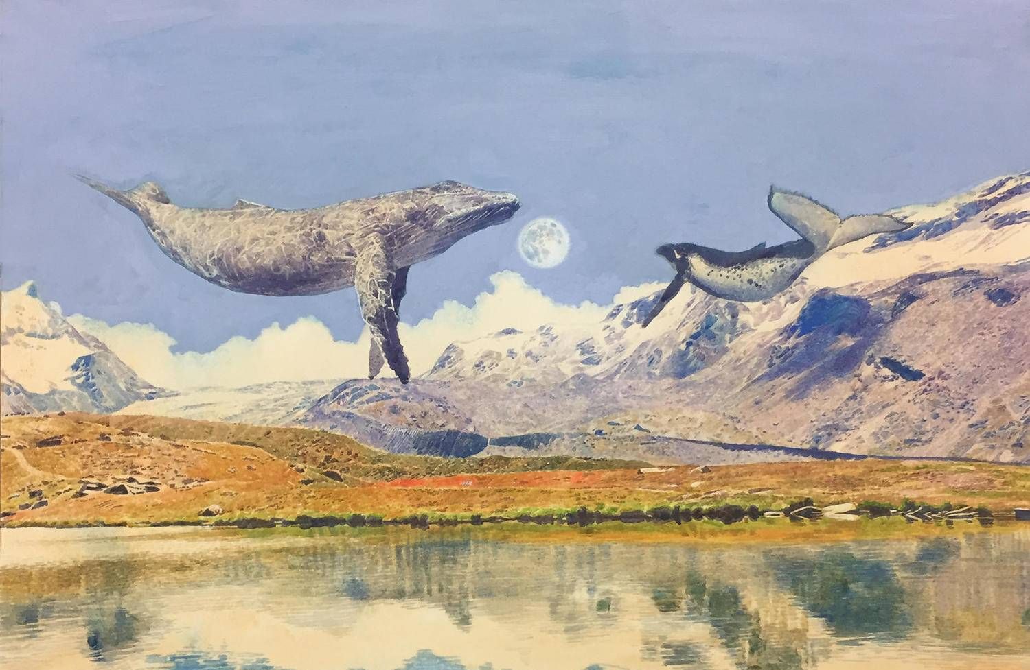 湖北美院毕业生杨帆创作的鲸鱼会飞系列水彩画作品