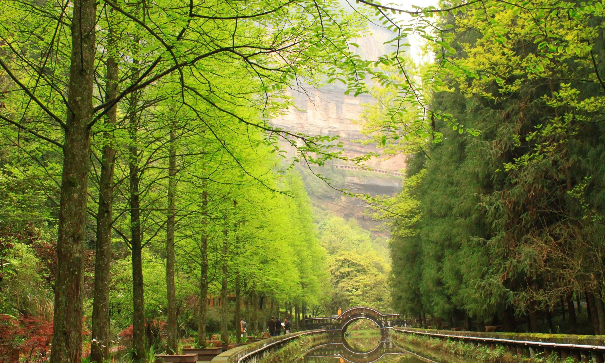 中国十大最美森林公园——四面山国家森林公园