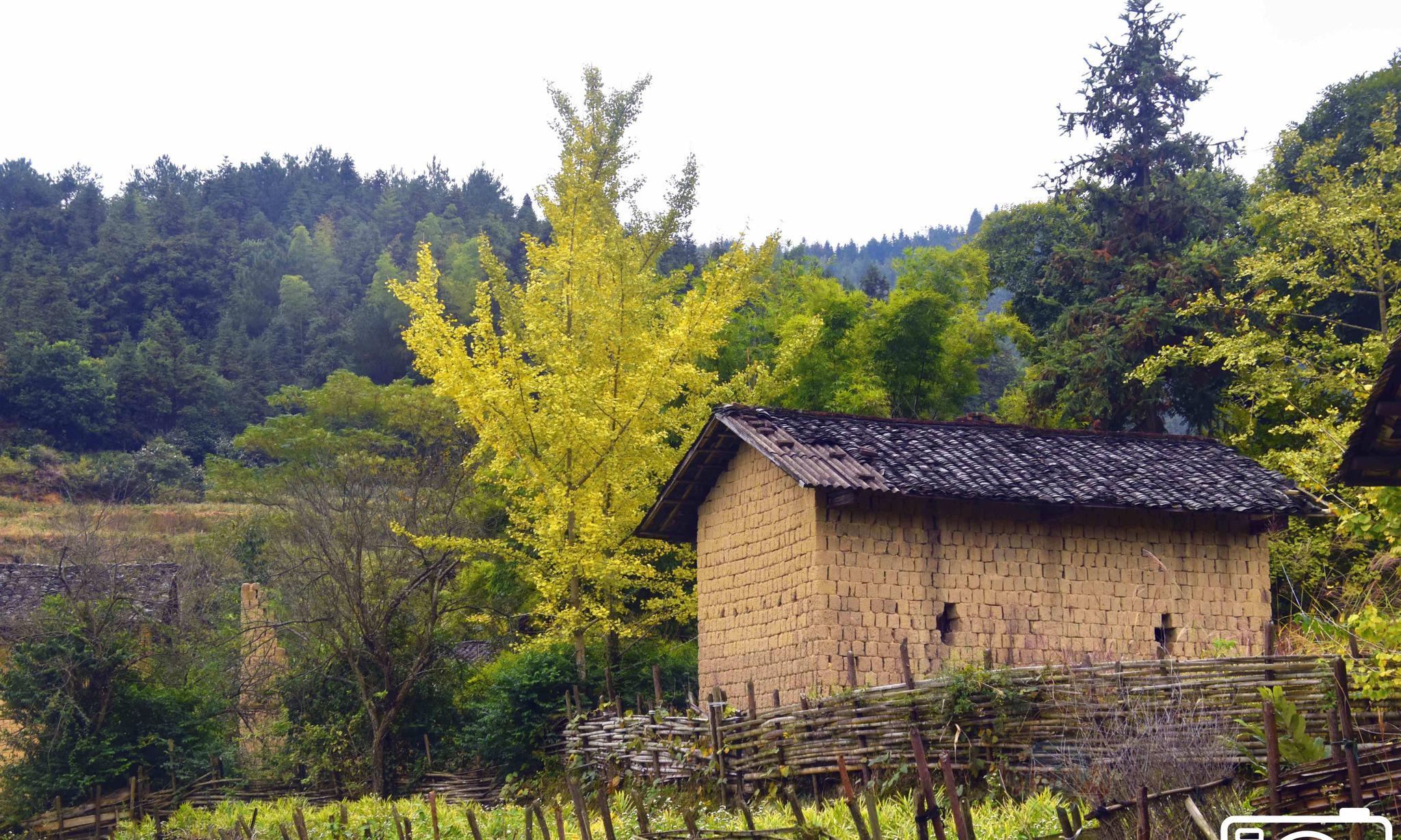 故乡的原风景——南雄市·新圩村_高清图集_新浪网