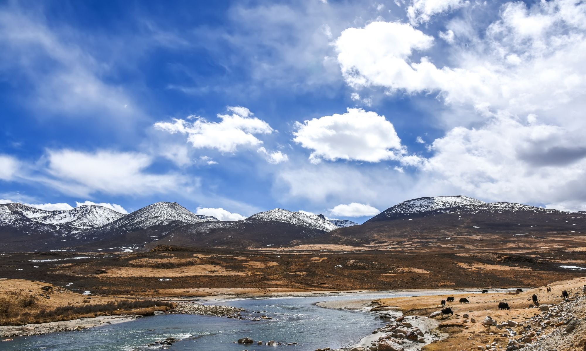 318途中—无量河湿地