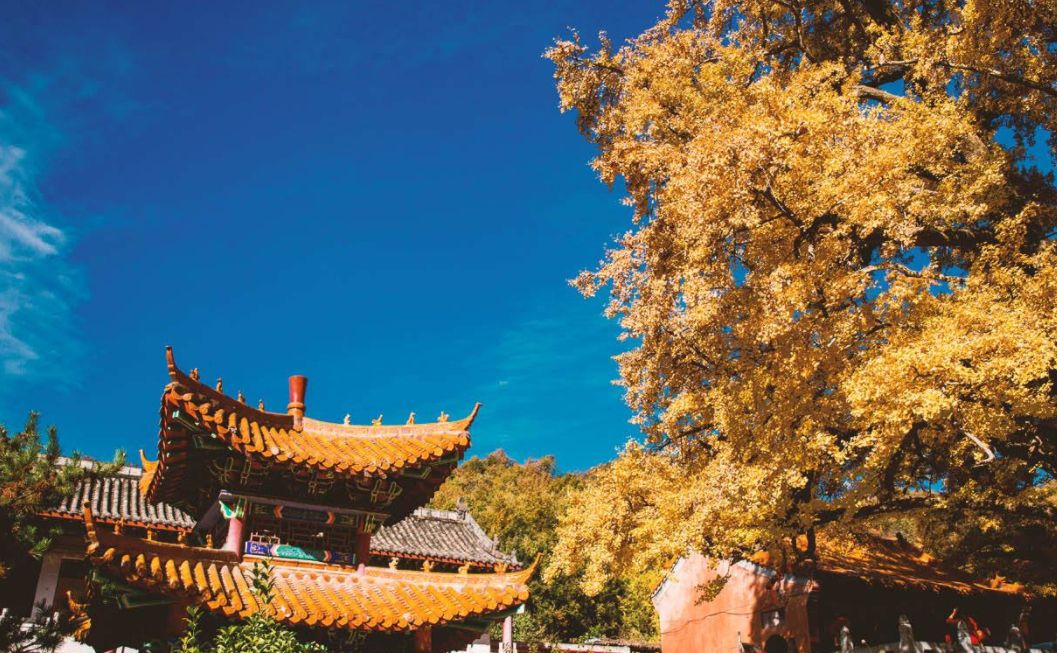 文殊寺藏庙为东纳藏族各部崇奉和供养的藏传佛教寺院_新浪新闻