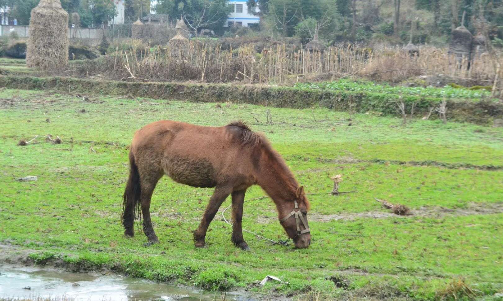 探秘中国最神秘的习俗之一贵州苗族洞葬