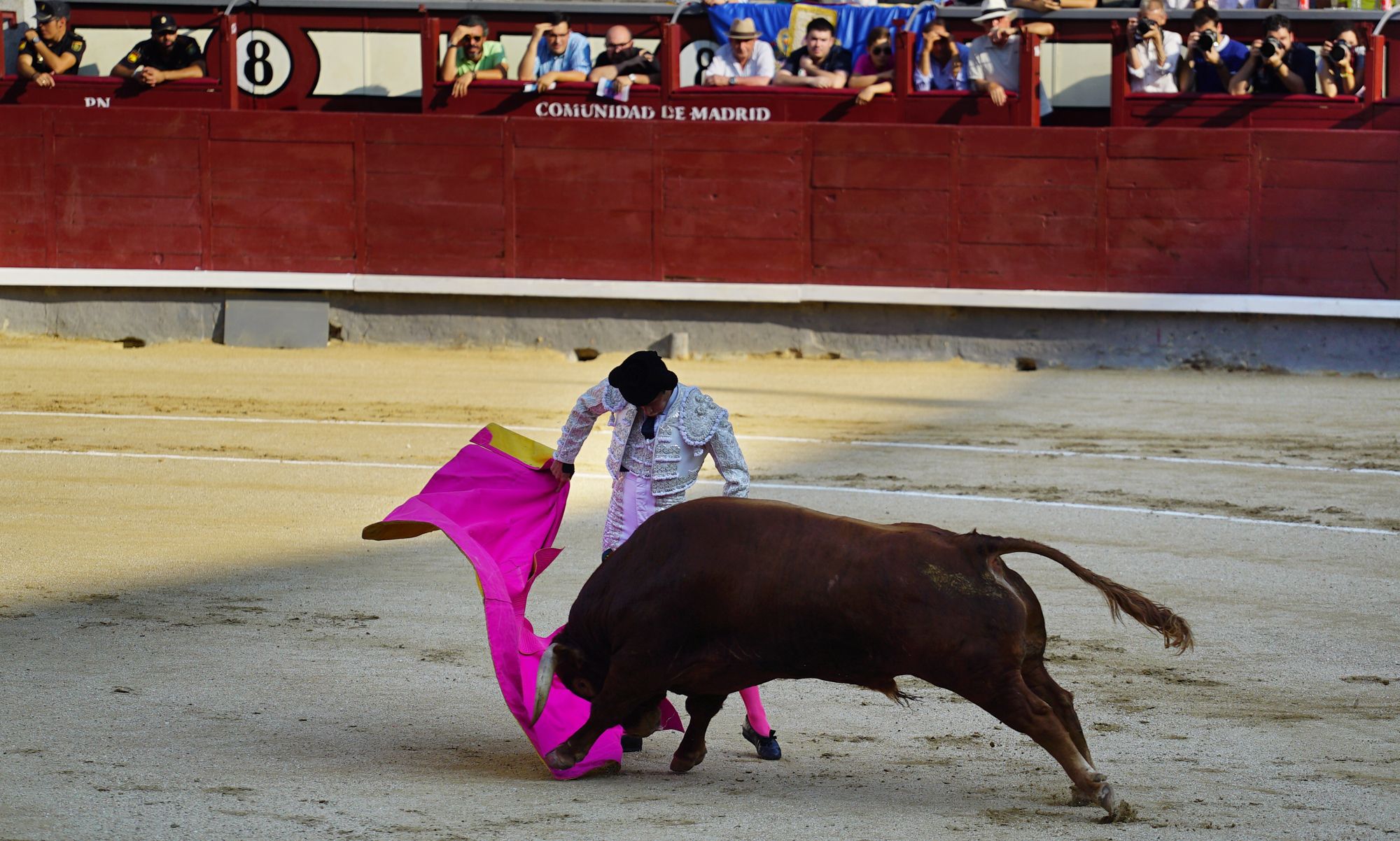 西班牙特色,斗牛场斗牛瞬间