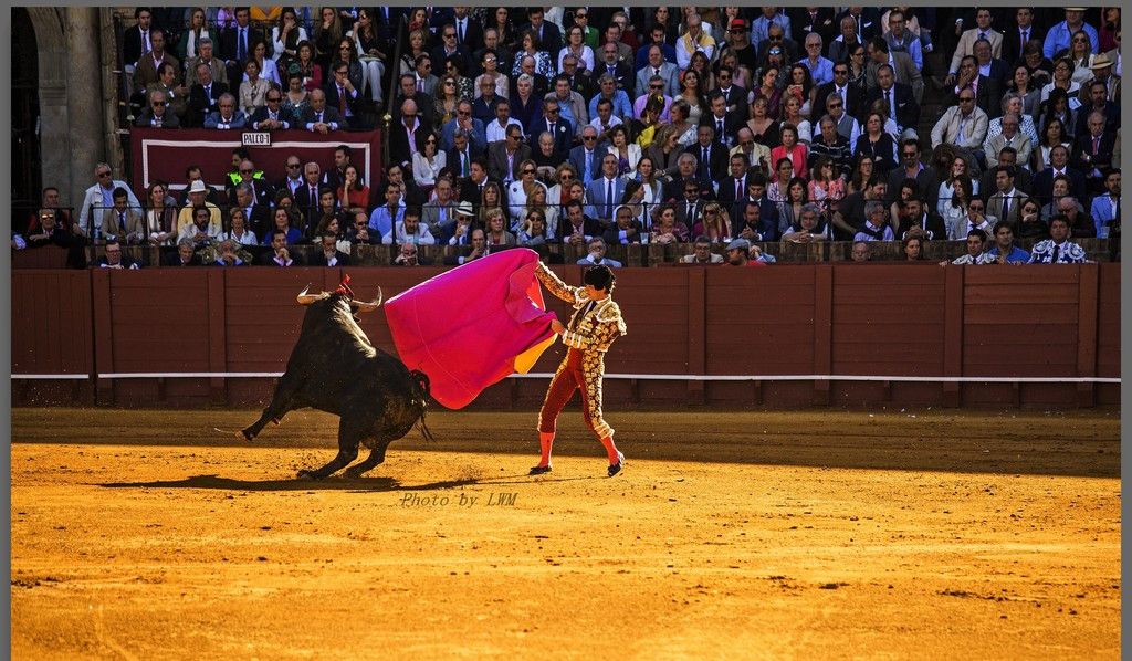 西班牙特色,斗牛场斗牛瞬间
