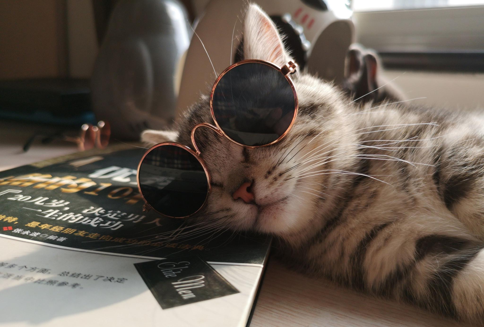 把书咬的都是都是洞,气的我血压都高了,你不是励志成为成功人士的吗?