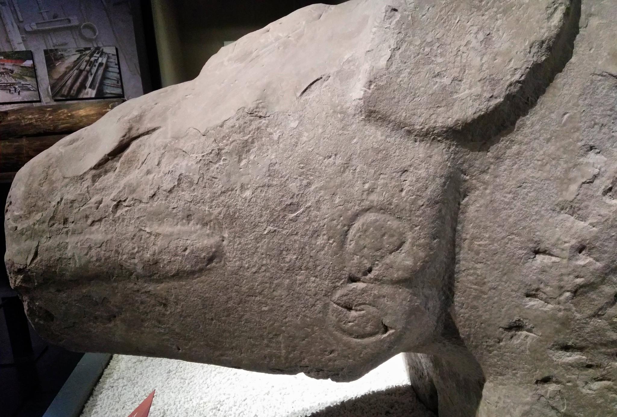 石犀牛成都博物馆镇馆之宝它屁股上的几个字是什么