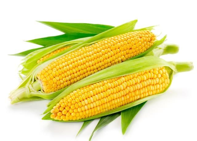 玉米做的美食真的好美味_高清图集_新浪网