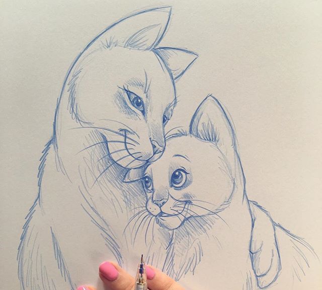 手绘小动物线稿,画风简洁有趣,随时可以画