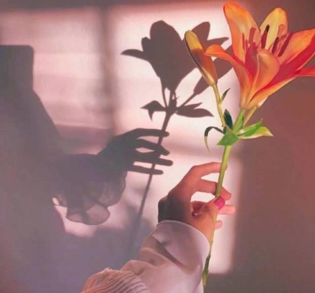 晨星说娱乐的微博_微博