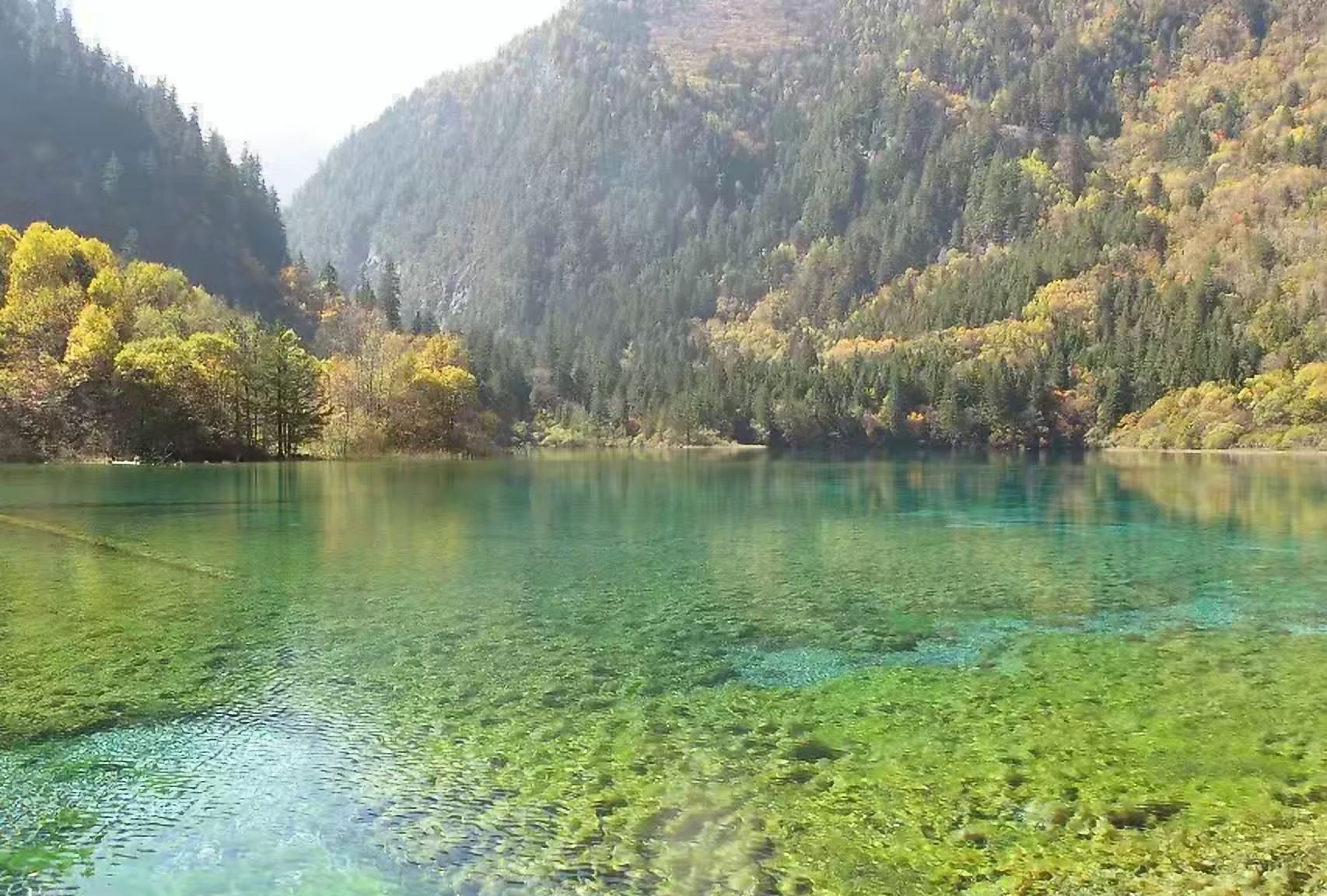 中国旅游强县国家级风景区世界自然遗产四川九寨沟