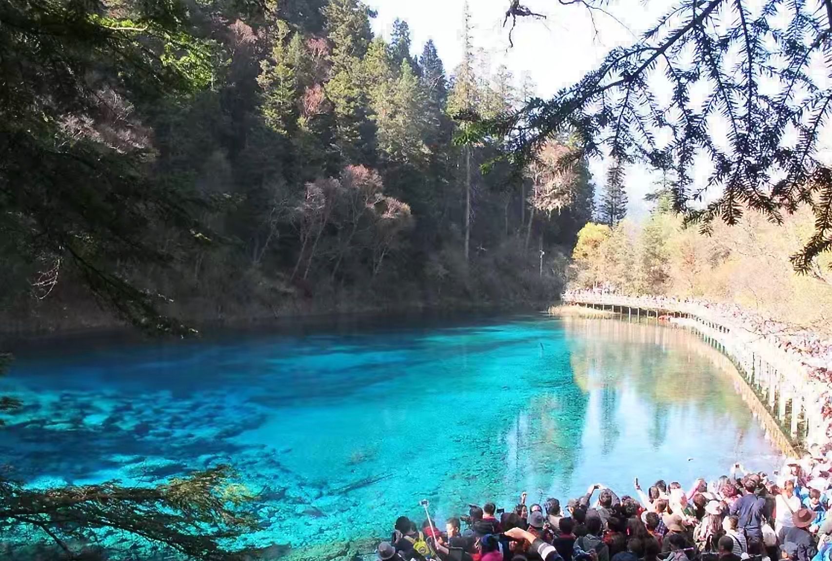 中国旅游强县国家级风景区世界自然遗产四川九寨沟