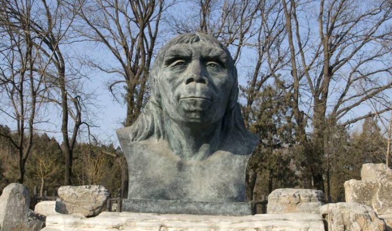 周口店北京人遗址北京人具有直立人的典型形态标准