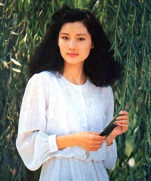 明星青涩照孙俪关之琳巩俐陈红王祖贤沈丹萍何赛飞